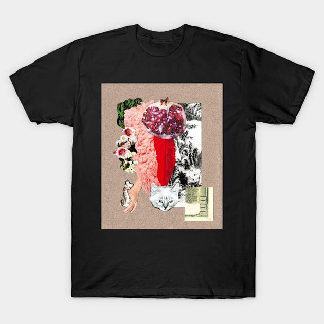 Pomegranate Cat collage T-Shirt by sadnettles